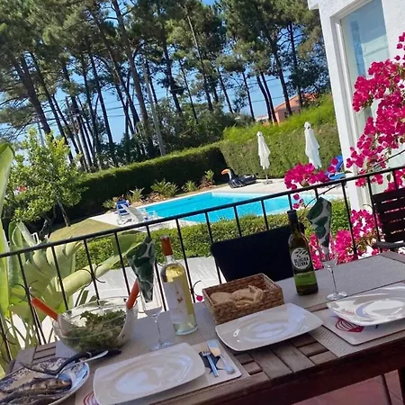 Fig Tree Family House With 4 Bedrooms * Lisbon