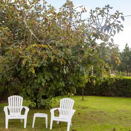 Fig Tree Family House With 4 Bedrooms Holiday home